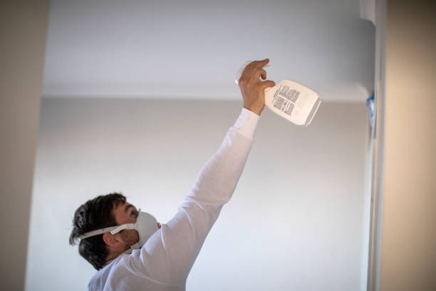 Best Insurance-Related Mold Remediation in Hayti, PA